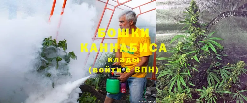 Бошки Шишки SATIVA & INDICA  хочу наркоту  Енисейск 